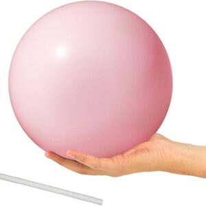 9 Inch Exercise Pilates Ball Mini Exercise Barre Ball for Yoga,Stability Exercise Training Gym Anti Burst and Slip Resistant Balls Physical Therapy Improves Balance, Core Strength