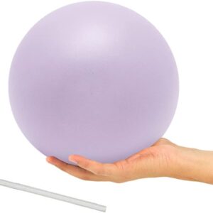 9 Inch Exercise Pilates Ball Mini Exercise Barre Ball for Yoga,Stability Exercise Training Gym Anti Burst and Slip Resistant Balls Physical Therapy Improves Balance, Core Strength