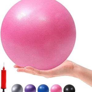 Mini Yoga Balls 6 Inch Exercise Pilates Therapy Balance Micropore Ball Barre Equipment for Home Stability Training Physical Core Training with Pump