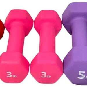Neoprene Coated Dumbbell Hand Weight Set