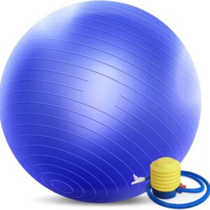 Forbidden Road Yoga Ball Exercise Ball Gym Ball for Work Out Physical Therapy Balance Stability Fitness Office Ball Chair