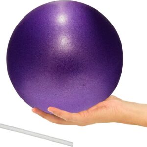 9 Inch Exercise Pilates Ball Mini Exercise Barre Ball for Yoga,Stability Exercise Training Gym Anti Burst and Slip Resistant Balls Physical Therapy Improves Balance, Core Strength