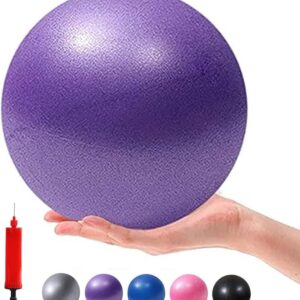 Mini Yoga Balls 6 Inch Exercise Pilates Therapy Balance Micropore Ball Barre Equipment for Home Stability Training Physical Core Training with Pump