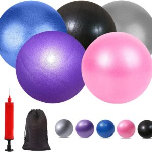 Mini Yoga Balls 6 Inch Exercise Pilates Therapy Balance Micropore Ball  Equipment for Home Stability Training Physical Core Training with Pump(5 PCS)